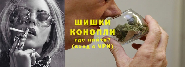 мет Алексин