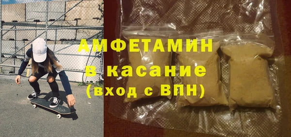 мет Алексин
