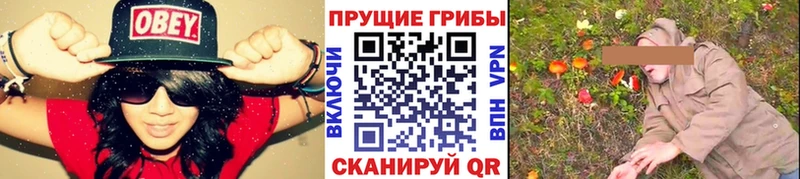 Псилоцибиновые грибы GOLDEN TEACHER  Хотьково 
